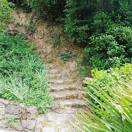 Les Acanthes Lauris Zewnętrze zdjęcie